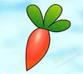 小萝卜视频,揭秘生活趣味，畅享欢乐时光