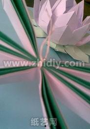 纸荷花制作视频,轻松打造立体荷花艺术品