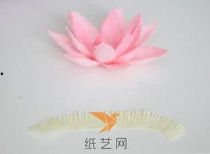 纸荷花制作视频,轻松打造立体荷花艺术品