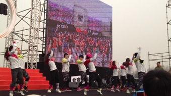 我想要飞舞蹈视频,揭秘飞舞者的舞蹈艺术之旅