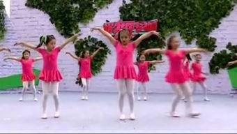 我想要飞舞蹈视频,揭秘飞舞者的舞蹈艺术之旅