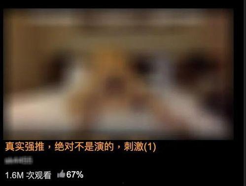 黄色视频在哪看,揭秘网络暗流涌动的秘密世界