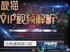 全能vip视频在线解析