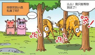 呆头漫画视频全集,欢乐校园生活的点点滴滴