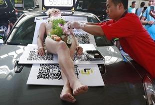 人体盛寿司宴视频,一场视觉与味觉的双重盛宴