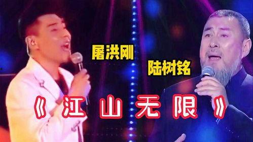 江山无限翻唱视频,经典旋律新演绎，重温经典情怀