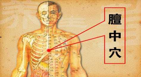 穴位养生视频,揭秘人体健康密码