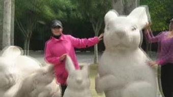 心之寻视频,探寻内心深处的旅程
