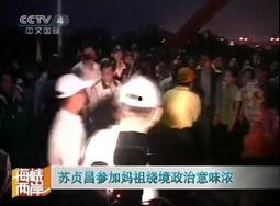 宋庆龄的视频,世纪女性的光辉岁月与家国情怀