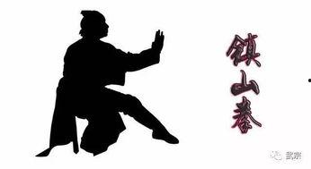 正宗少林拳视频